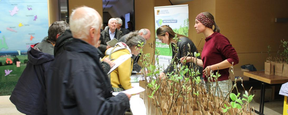Hier sieht man, wie der Baum des Jahres, die Mehlbeere, verteilt wird.