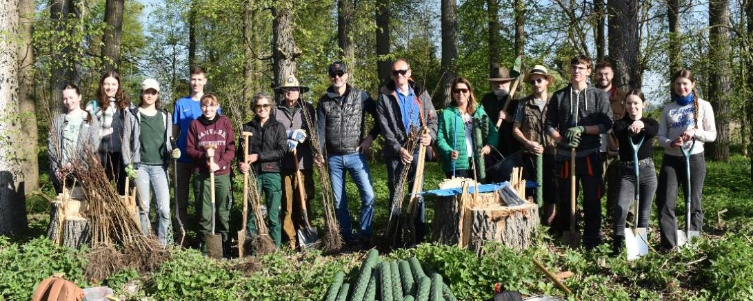 Pflanzaktion Gymnasium Donauwörth