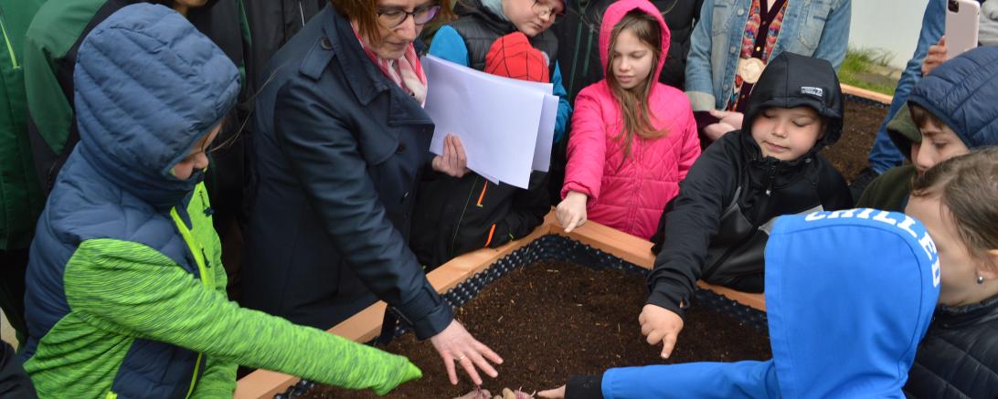 Kartoffelaktion Marxheim 