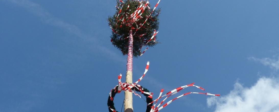 Maibaum 