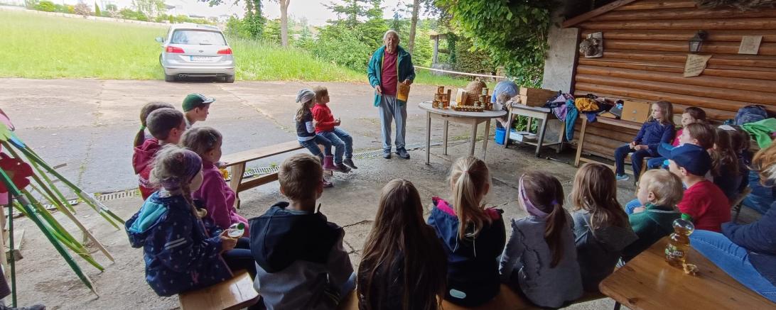 Hier sieht man Kinder bei einem Vortrag über Bienen und Honig.