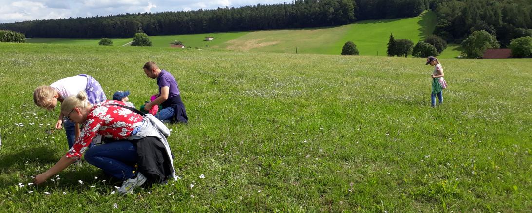Kleine Naturdetektive erkunden die heimische Flora und Fauna.