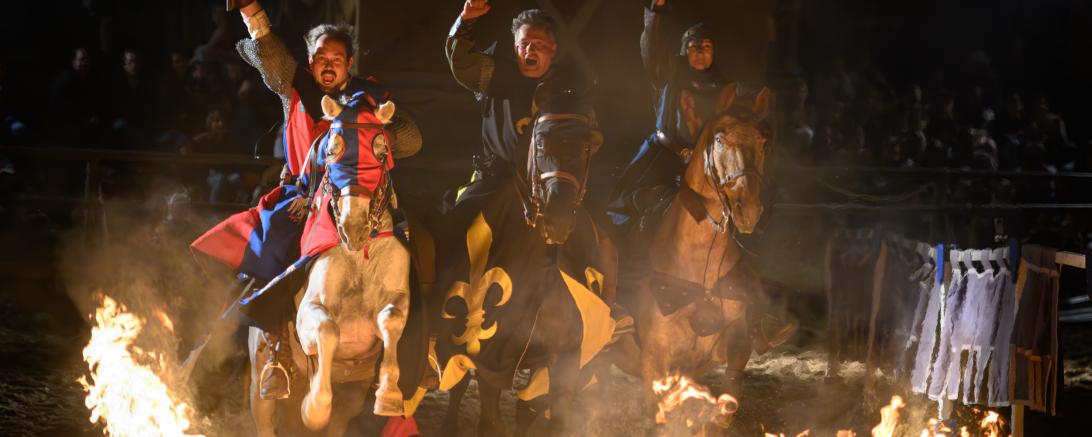 Historischer Markt Oettingen 2024