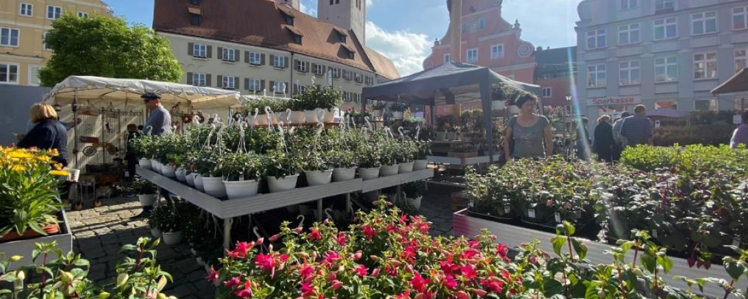 Altstadt voller Blumen