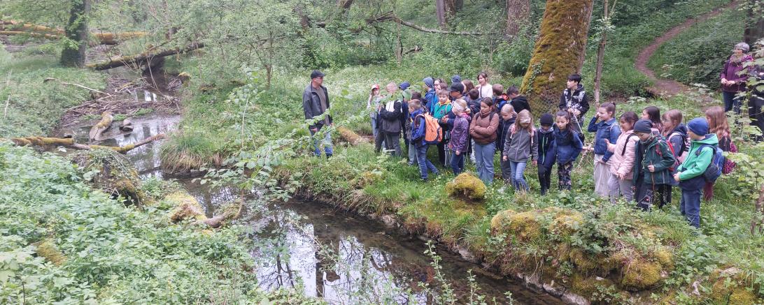 Die Viertklässler der Leonhart-Fuchs-Grundschule in Wemding erleben den HSU-Unterricht in der freien Natur.