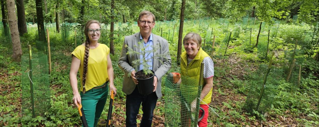 Karin Brechenmacher-Dumberger (links) pflanzte zusammen mit ihrer Mutter Julianna Brechenmacher (rechts) 6.000 Bäumen zugunsten des 100.000 Bäume Projekt des Landkreises, welches von Landrat Stefan Rößle (Mitte) initiiert wurde.