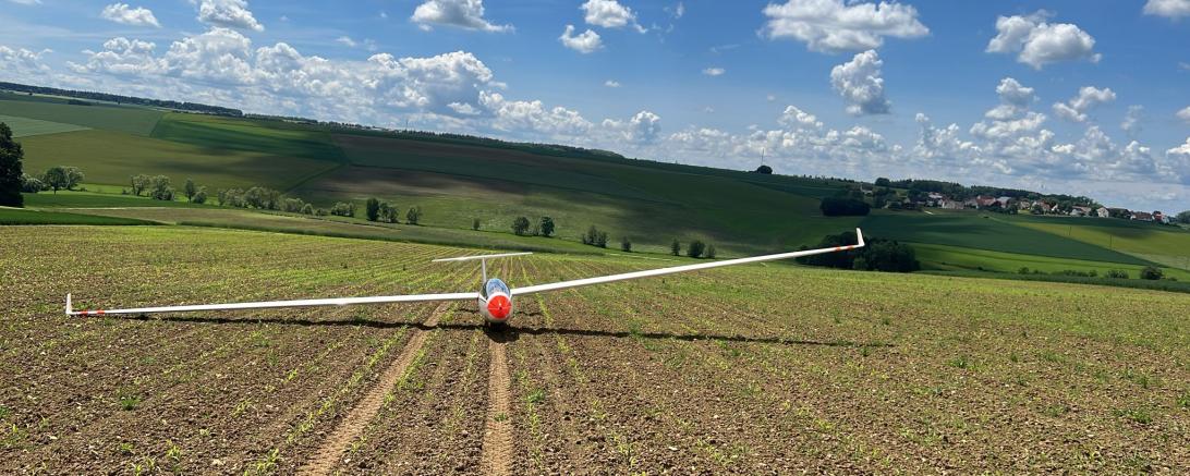 Wenn die Thermik fehlt, müssen (und dürfen) Segelflugzeuge auch auf Feldern landen. Sie werden dann per Anhänger abgeholt.