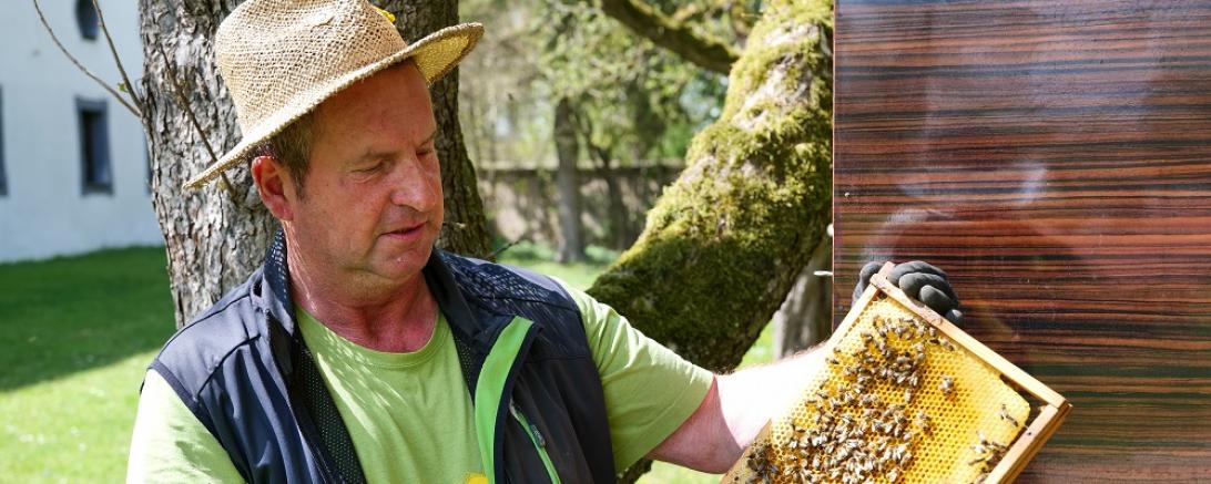 Museumsimker Anton Göck im Bienen-Garten