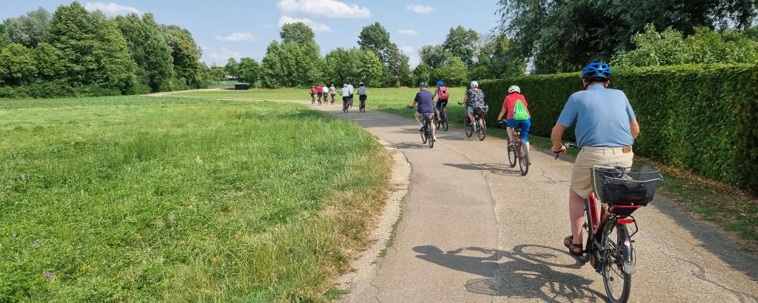 Das Bild zeigt Fahrradfahrer