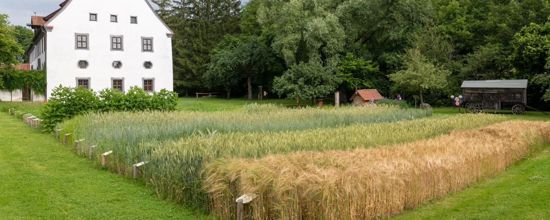 Garten des Museum KulturLand Ries