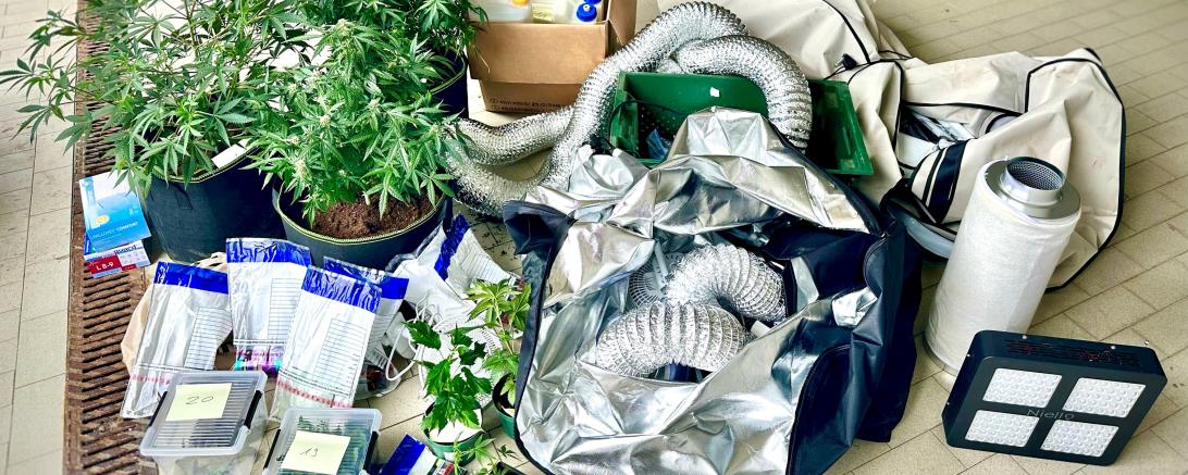 Cannabis und Waffenfund 