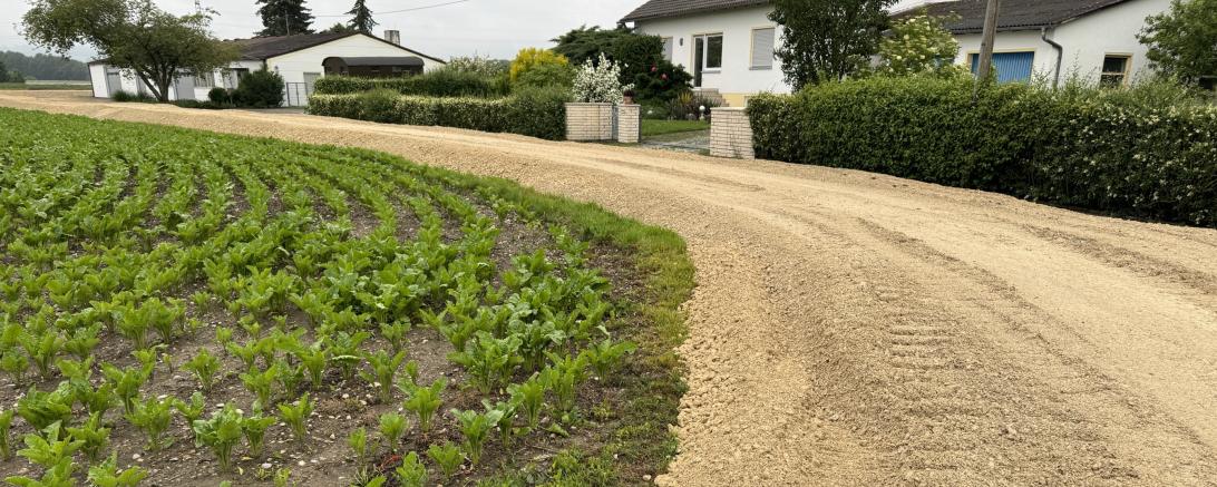 Hier sieht man den provisorischen Damm in Auchsesheim.