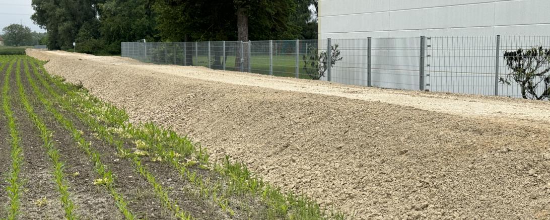 Hier sieht man den provisorischen Damm in Auchsesheim.