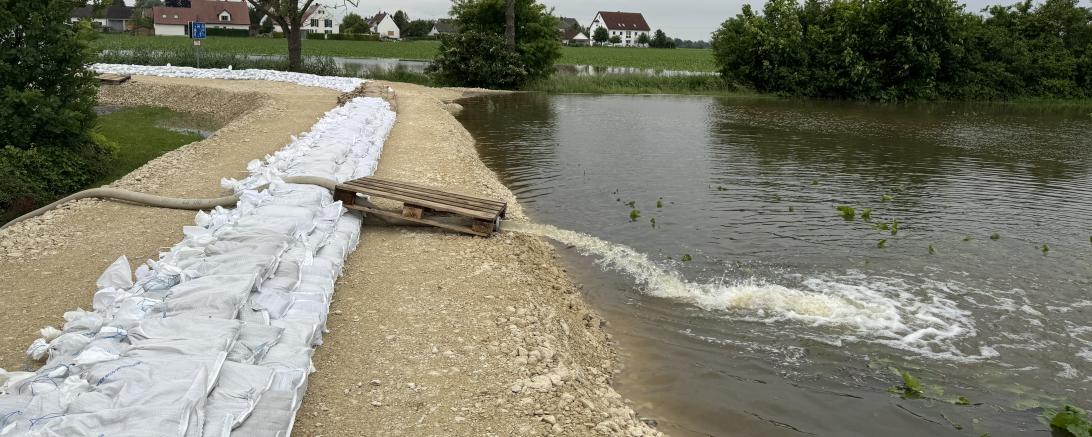 Hier sieht man den Behelfsdamm bei Auchsesheim.