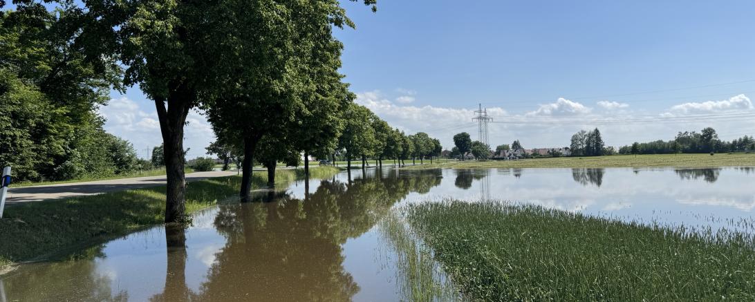 Hier sieht man überflutete Felder.