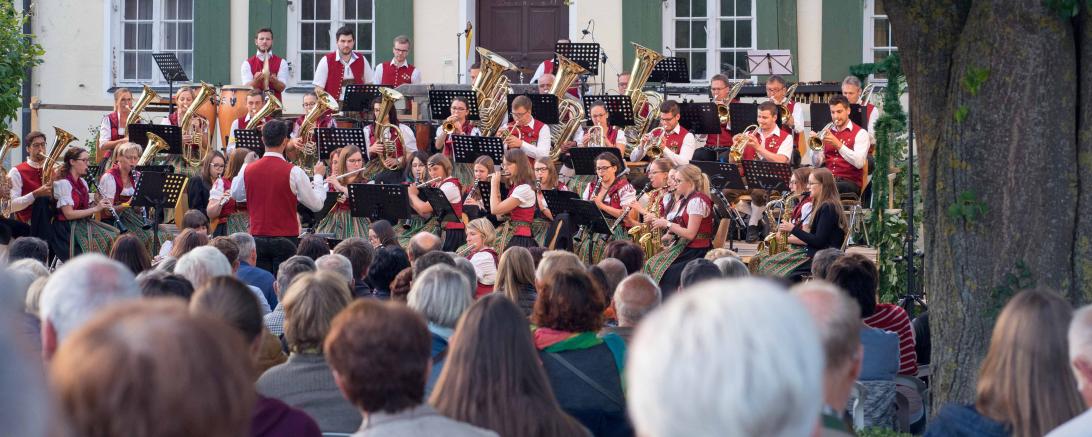 Hier sieht man die Tapfheimer Musikanten.