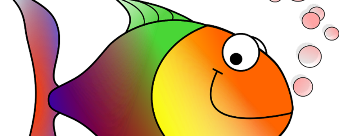 Bild Regenbogenfisch