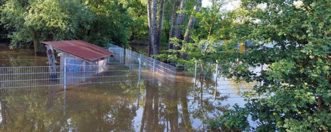 hier sieht man das Hochwasser im Tierheim Hamlar.