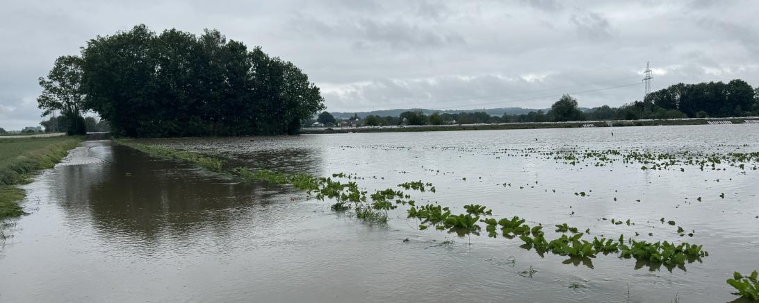 Hochwasser Auchsesheim Notunterkünfte