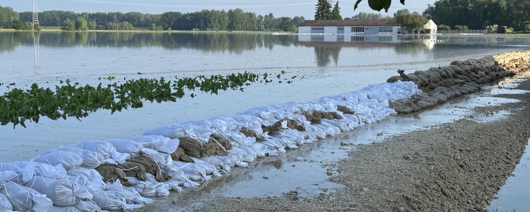 Behelfsdamm Auchsesheim