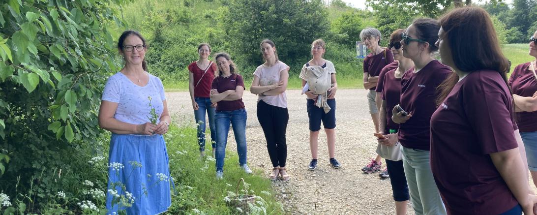 Das Bild zeigt die Teilnehmerinnen der Kräuterwanderung.