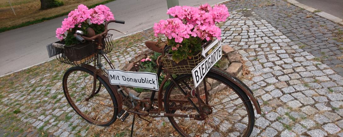 Hier sieht man eine Werbung für die Schlossgaststätte in Bertoldsheim.