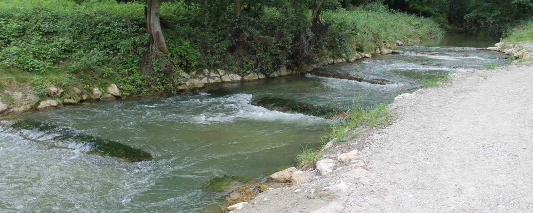 Über eine Länge von 1,8 Kilometer werden Fische um das Wasserkraftwerk Feldheim herumgeführt.