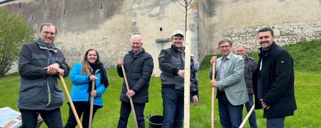 Im Burggarten von Schloss Harburg wurde ein Apfelbaum der seltenen Sorte „Leitheimer Streifl ing“ symbolisch gepfl anzt. Auf dem Bild zu sehen (v.l.n.r.): Ralf Hermann Melber, Pomologe, Michaela Weber, Streuobstkoordinatorin Regierung von Schwaben, Friedrich Hertle, Leiter Kulturstiftung Harburg, Martin Weiß, Landschaftspflegeverband Donau-Ries, Landrat Stefan Rößle, Franz Miller, Leiter Kulturstiftung Harburg und Christoph Schmid, Bürgermeister Harburg.