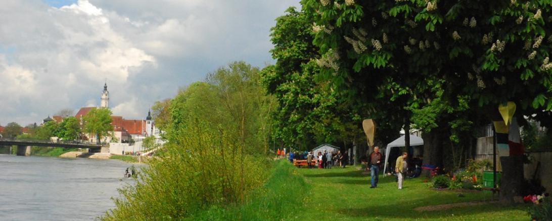 Donauhaufen Donauwörth 