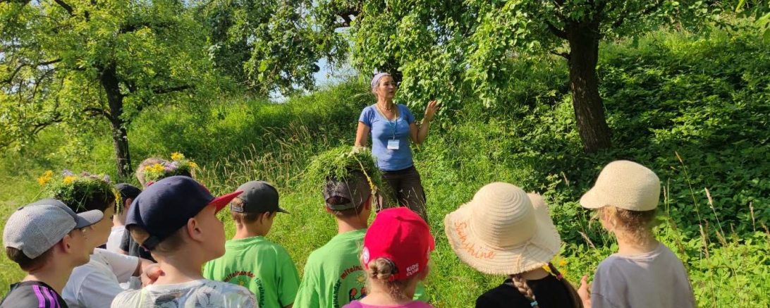 Umweltpädagogin Bianca Brandner erkundet mit den Schülern und Schülerinnen der Grundschule Reimlingen die Vielfalt der Streuobstwiese am Ortsrand von Reimlingen