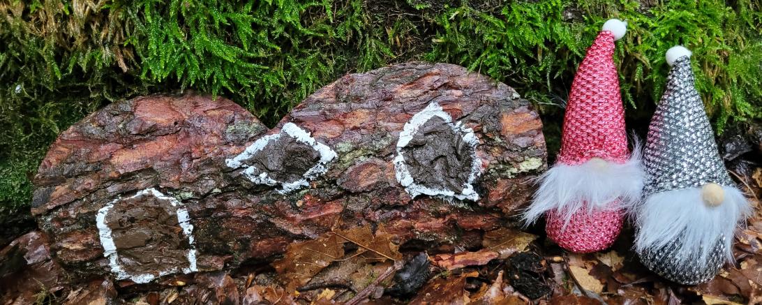 Hier sieht man den Wegweiser zum Wichtelweg.