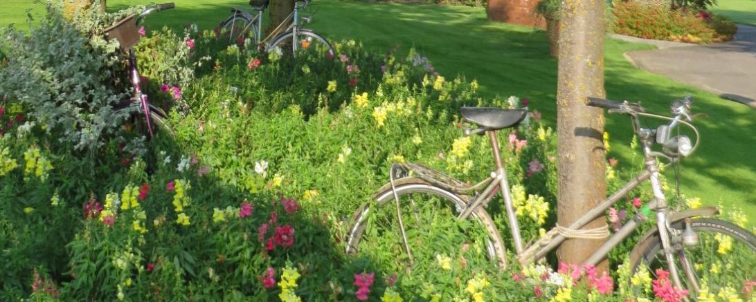 Die Radtour durch drei Landkreise führt u.a. durch die Blumenstadt Rain