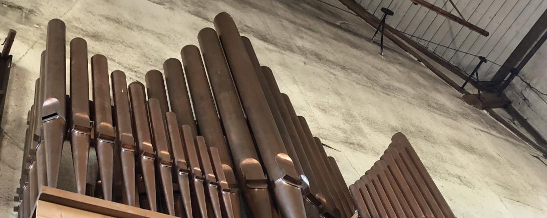 Das Bild zeigt Orgelpfeifen.