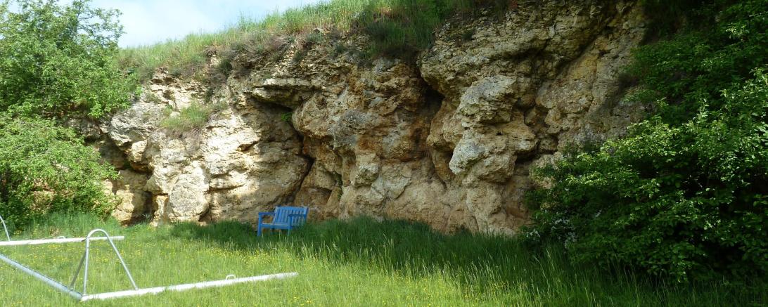 Verkalktes Algenriff am Sportplatz in Hainsfarth