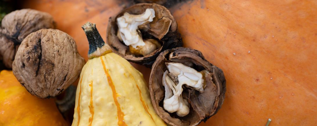 Kürbisse beim HerbstErlebnisTag