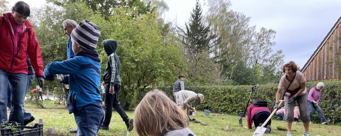 Frühblüher Pflanzaktion