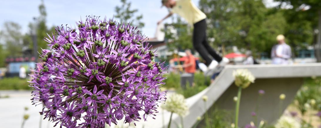 In diesem Jahr findet die Landesgartenschau in Kirchheim statt. 