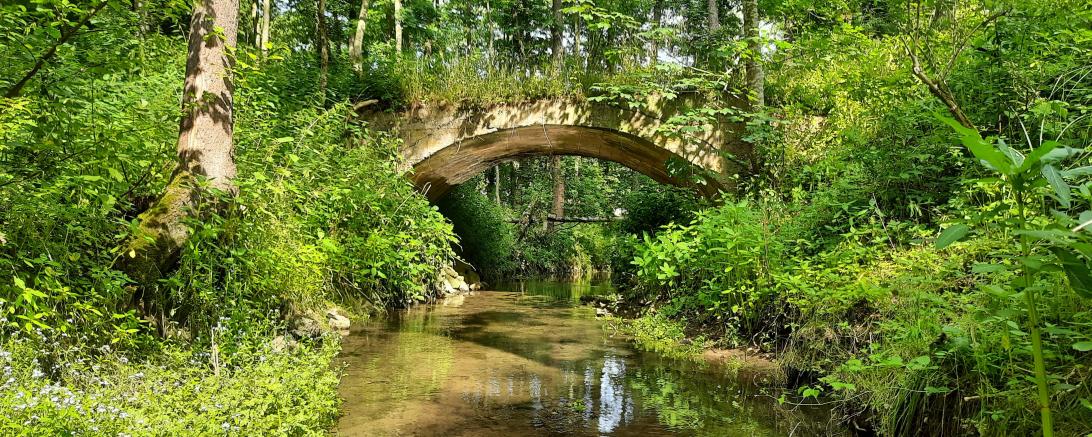 Brücke der Boggelbahn