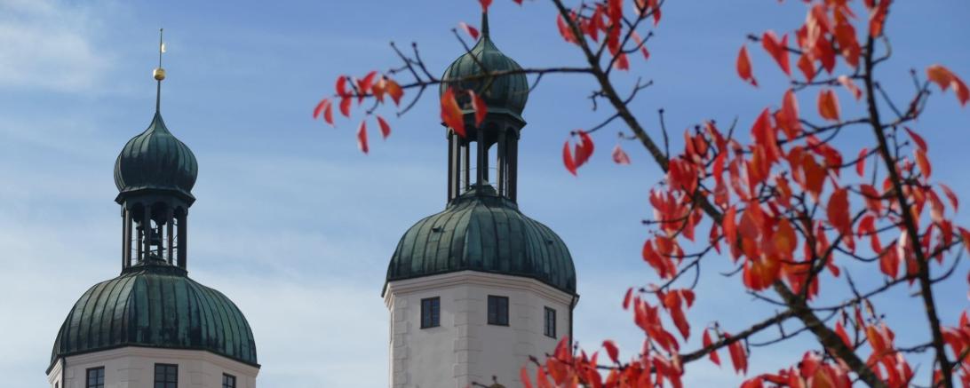 Wemdinger Martinimarkt