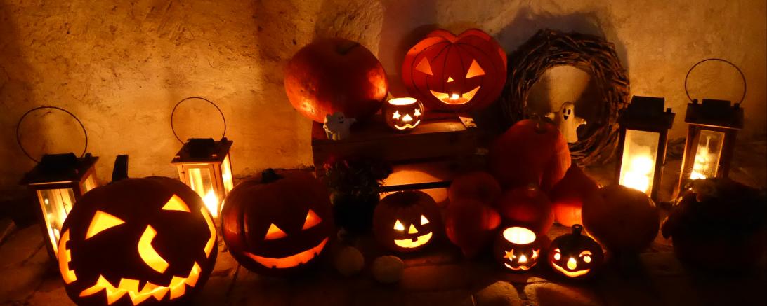 Kürbisse zur Führung