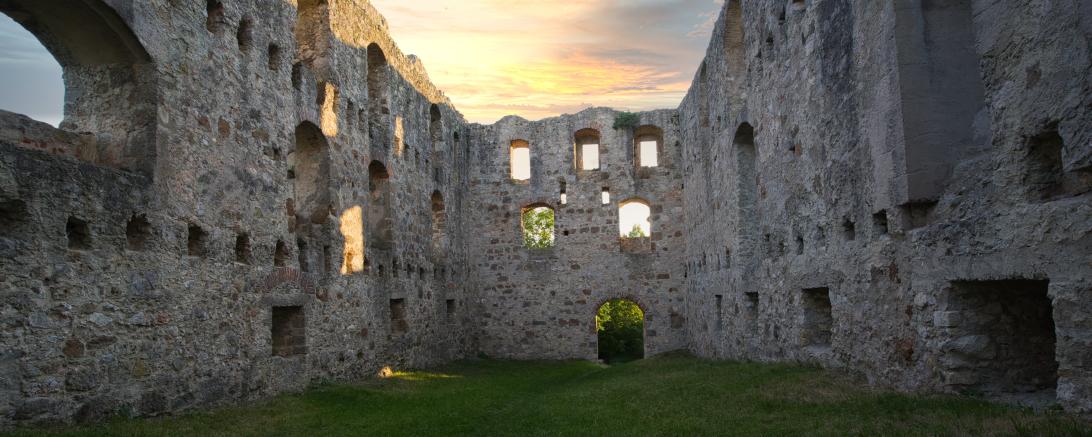 Bergruine Niederhaus