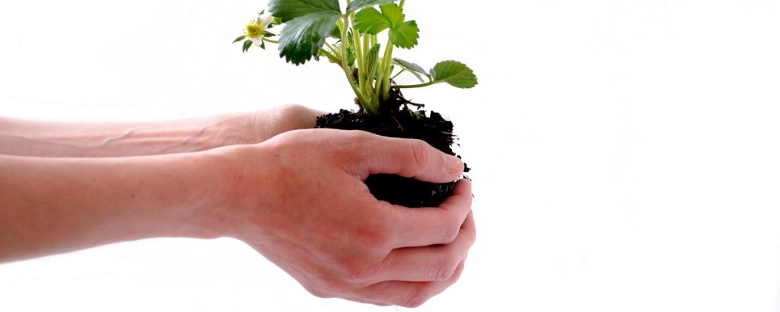 Der Bezirk Schwaben sucht wieder das beste Umweltprojekt.