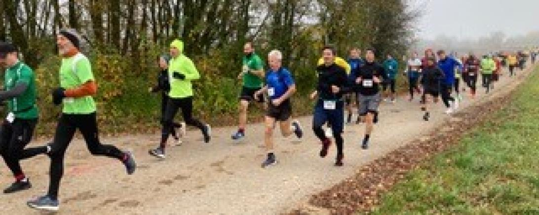 Beim Jedermannslauf in Wemding gab es einen Teilnehmerrekord.