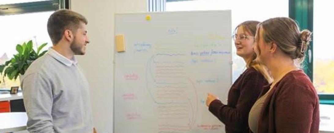 Meet up Boards Sigel