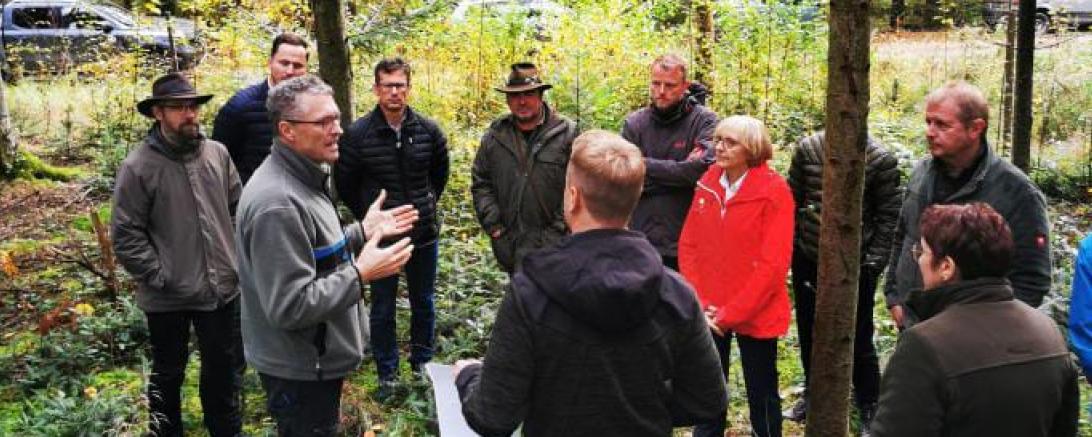 Die beiden städtischen Förster Michael Fürst und Jakob Michl mit dem Donauwörther Stadtrat zur Begehung des Stadtwaldes.