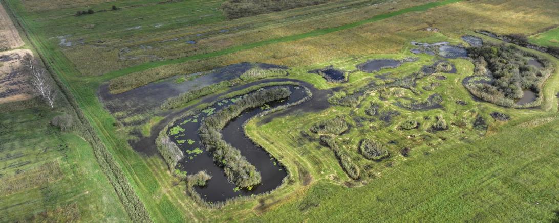 Das Niedermoorgebiet der Mertinger Höll ist ein Arbeitsschwerpunkt im Moor-schutz-Projekt.