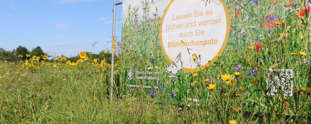 Der Bayerische Bauernverband führt sein Blühflächenpatenschaftsprojekt auch im nächsten Jahr fort.