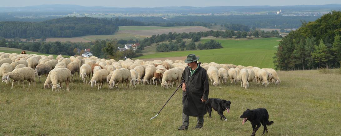 Wanderschäfer Andreas Huggenberger