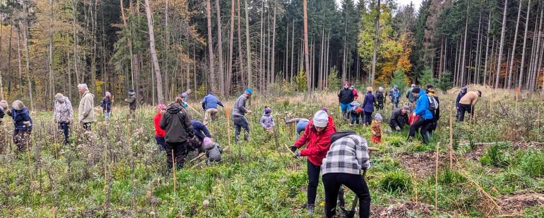 Bäume pflanzende Menschen