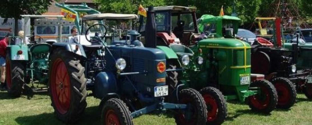 Bulldogtreffen in Wemding